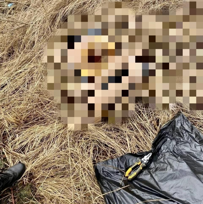 Останки расчлененной мужем женщины выловили из реки на юге Волгограда