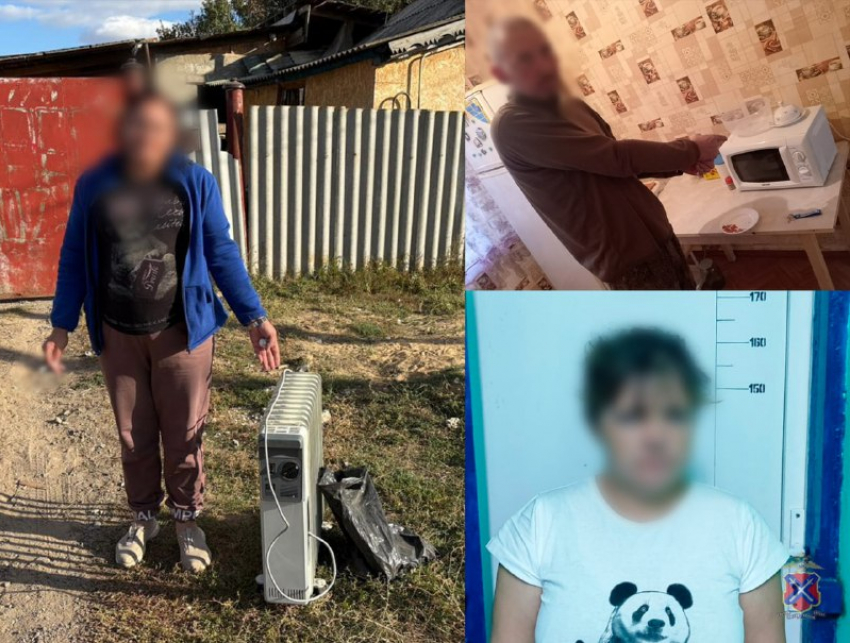 Вынесли даже батареи: компания рецидивистов «обчистила» дом волгоградца 