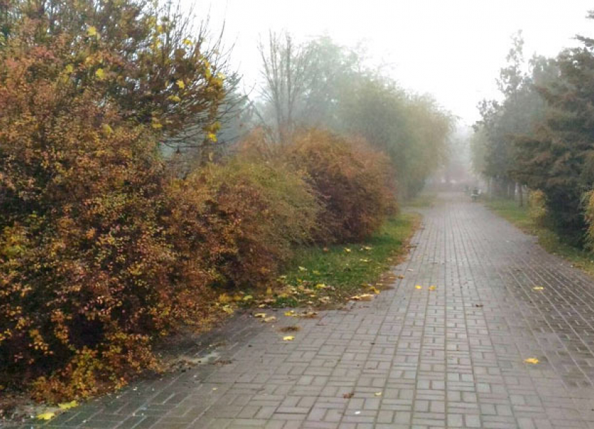 С туманов и ночных морозов до -5ºС начинаются выходные в Волгоградской области