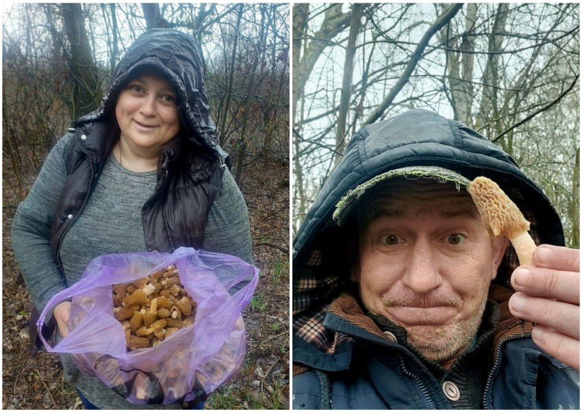 Грибной сезон открыли урожаем «трюфеля для бедных» отчаянные волгоградцы