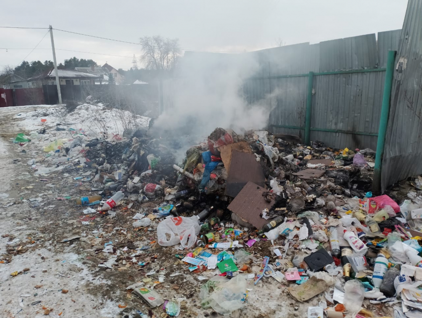 Мусорные баки сожгли в Волгограде после жалобы на плохую работу регоператора "Ситиматик"