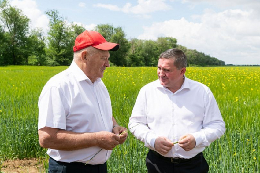 Президент присвоил звание Герой труда волгоградскому аграрию Александру Колесниченко