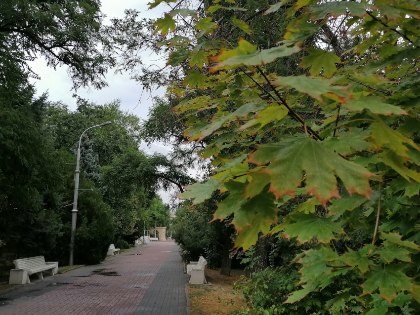 Идеальную погоду для пикников и прогулок пообещали волгоградцам синоптики 12 сентября