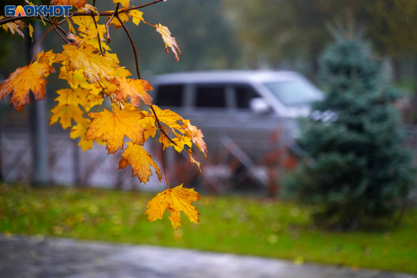 Облачно с прояснениями и +2 градуса: погода 31 октября в Волгограде