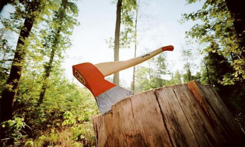 Под Волгоградом 55-летний мужчина едва не зарубил топором друга