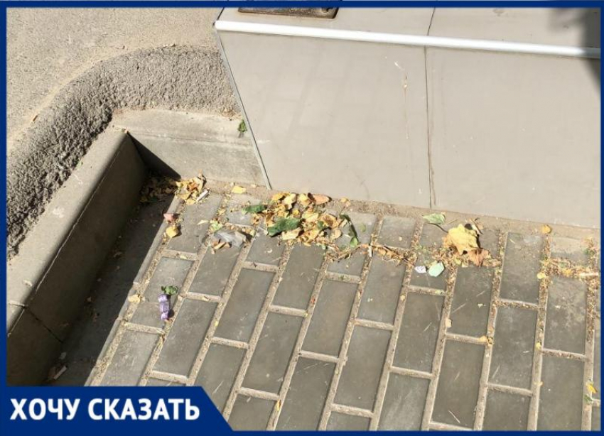 «Мы уже замучились»: предприниматели вместо коммунальщиков в Волгограде сами  убирают грязную улицу