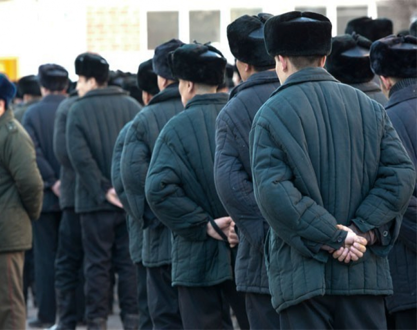В Волгоградской области с начала года по амнистии освободились 443 заключенных