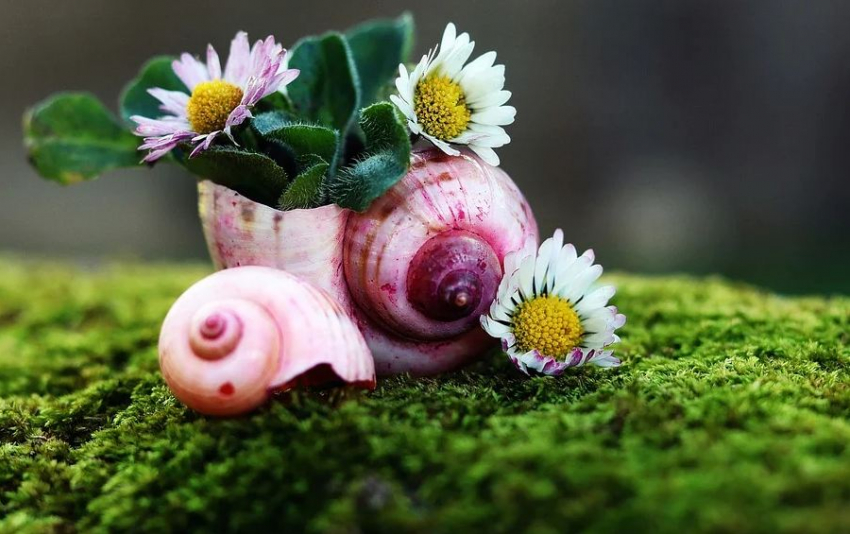 В Волгоград пришла почти летняя пятница