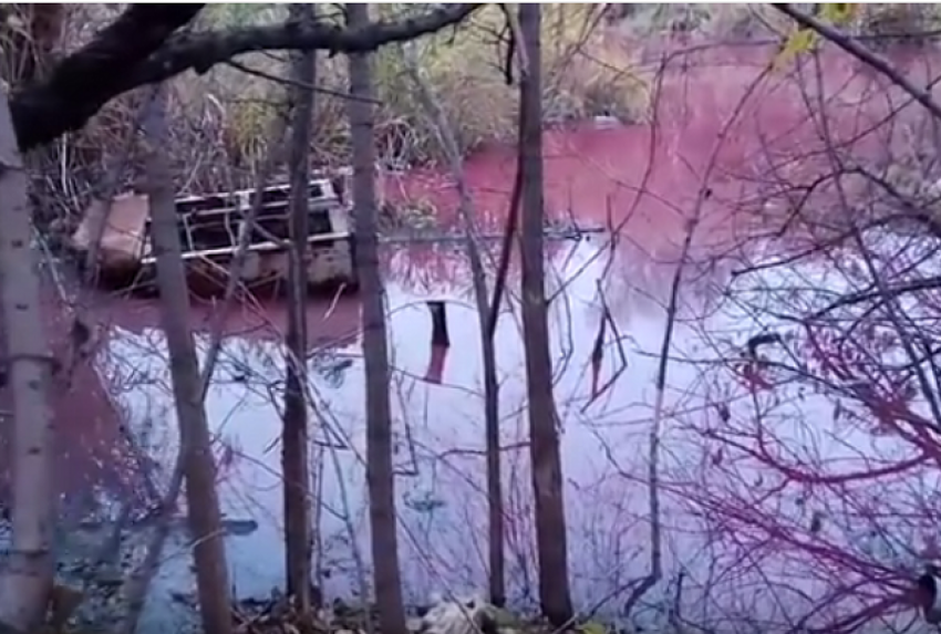 Волгоградцы обнаружили розовое зловонное озеро в центре города