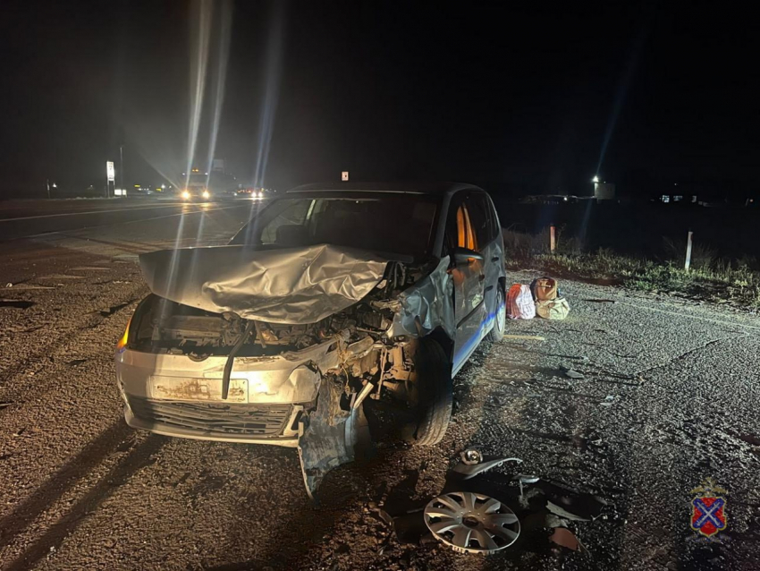 Корова отправила двух человек в больницу под Волгоградом