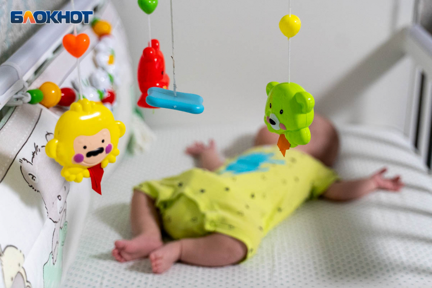 Сартхак,  Джувайрия и Радаслава родились в январе в Волгоградской области