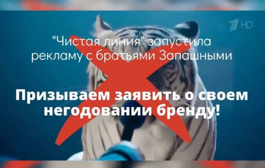 Волгоградских волонтеров возмутила реклама с дрессировщиками братьями Запашными