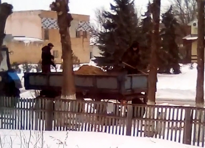 Неоднозначный способ обработки дорог сняли на видео в Волгоградской области