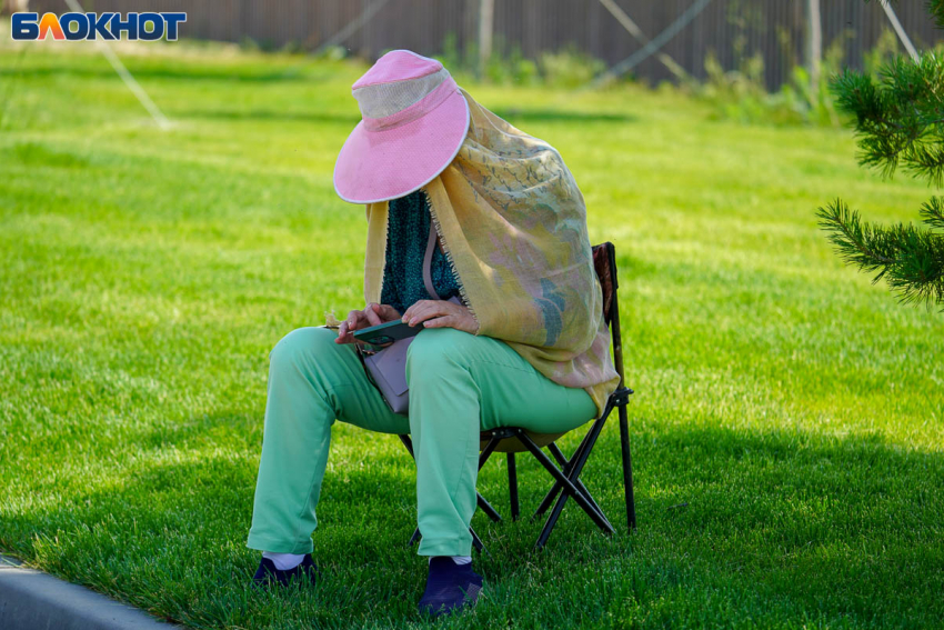 Ждать ли нашествия комаров весной-2026, объяснил биолог