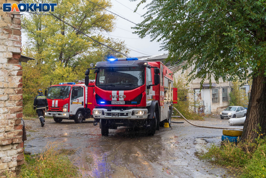 Волгоградцам от имени «руководителей города» рассылают странные сообщения