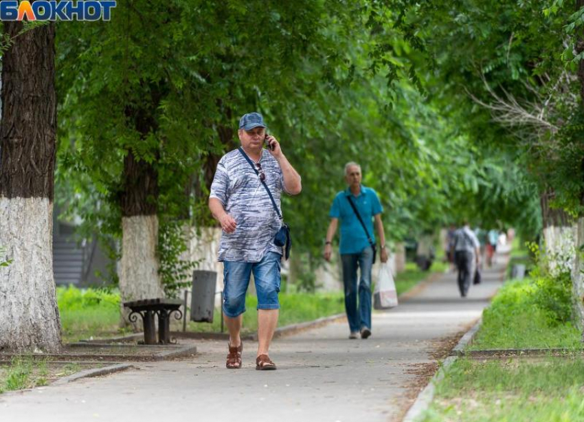 Жара идет на рекорд: в Волгоградской области пик аномальной жары  