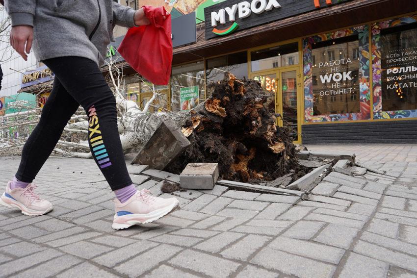 Сильный шторм со снегом обрушится на Волгоградскую область – МЧС