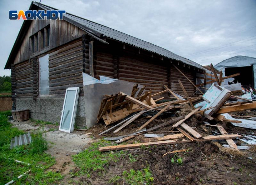 Стала известна окончательная дата разбора конюшен «Соснового бора» в Волгограде