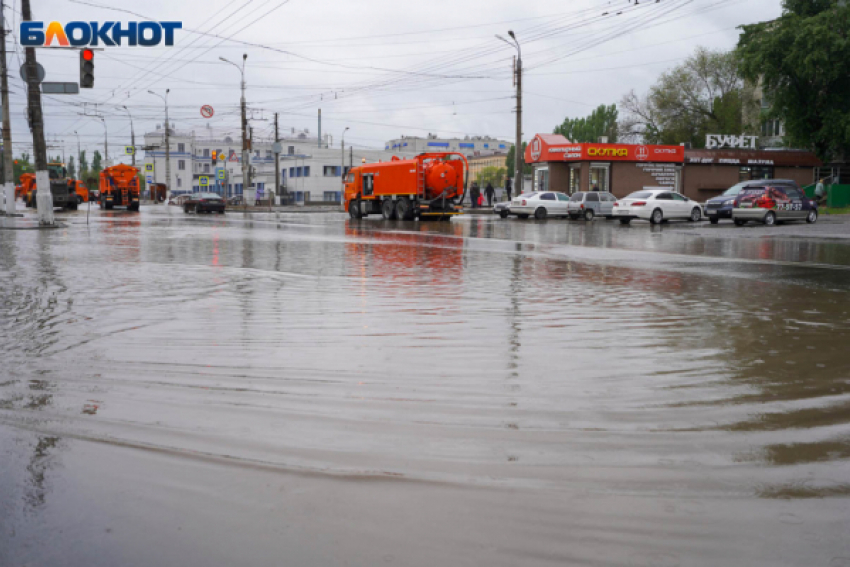 Вырывание деревьев ветром продолжится в Волгоградской области до 22 мая 