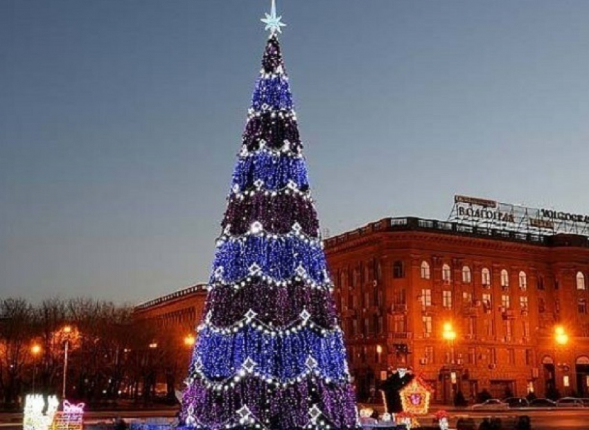 Главная елка Волгограда зажглась новогодними огнями