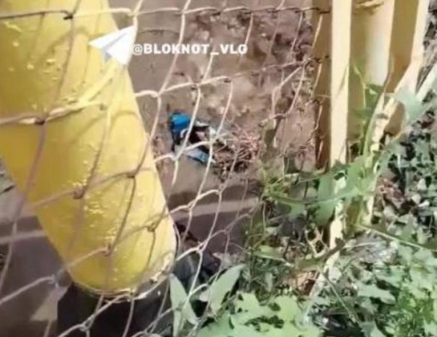 Вода третьи сутки бьет ключом из-под котельной в Волгограде