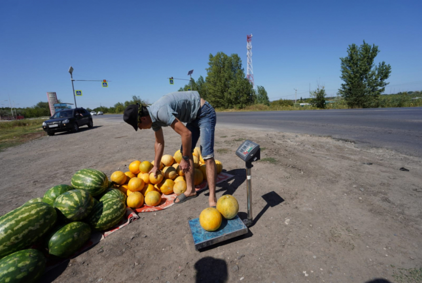 Секрет выбора спелого и сочного арбуза раскрыли в Волгограде