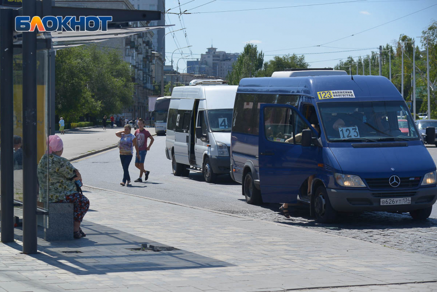Жители Волгограда собрали 3 тысячи подписей за сохранение маршрутки 83