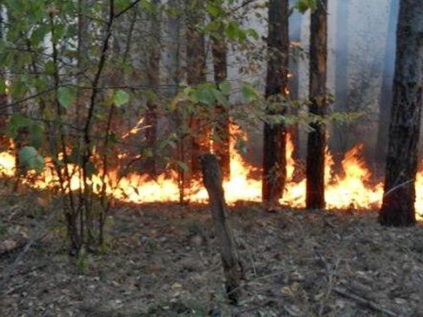 Город готовится к «большому огню»