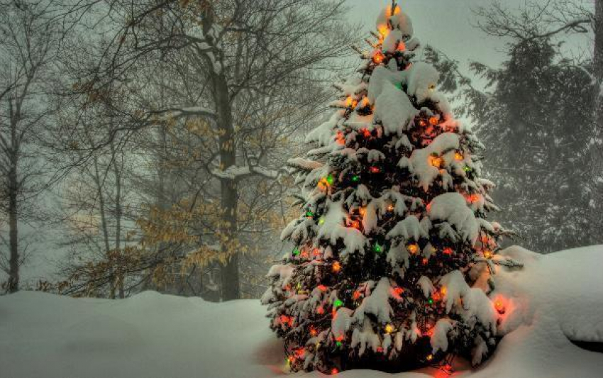 Волгоградские чиновники анонсировали более 100 праздничных мероприятий на Новый год