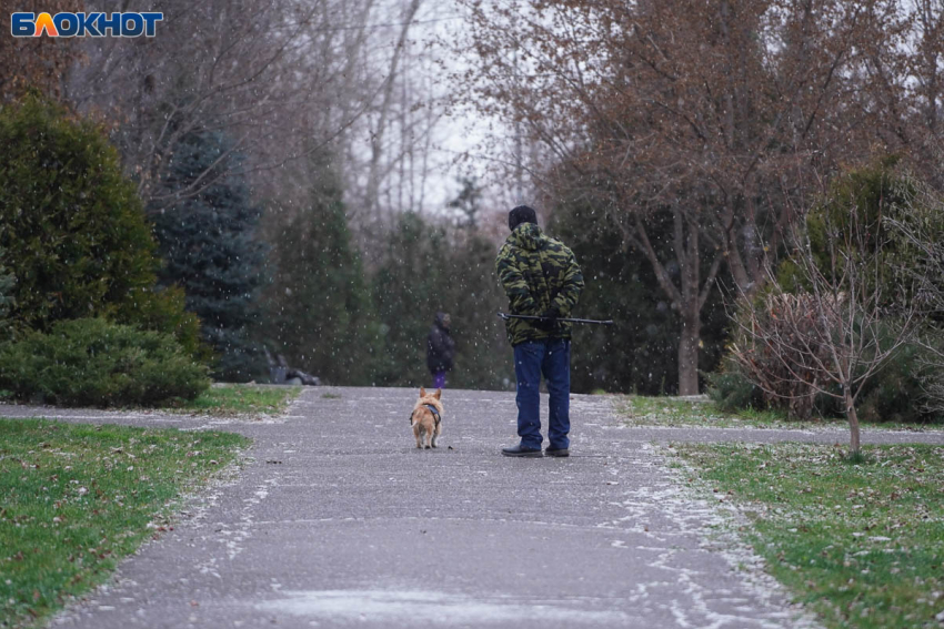 Мокрый снегопад при ветре до 18 м/с обрушится на Волгоградскую область