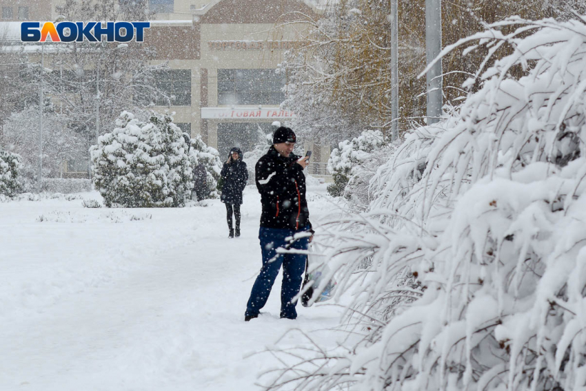 В Волгограде от снега валятся деревья: придавлена машина и оборваны провода