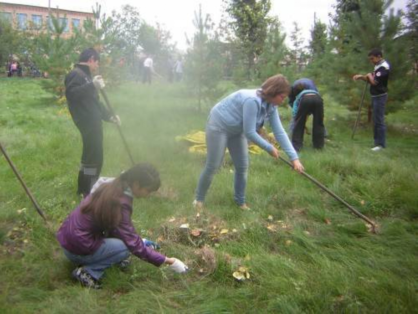 2013 год может быть объявлен годом благоустройства Волгоградской области