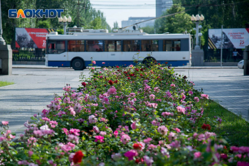 Жители Красноармейского района хотят забрать у мэра Марченко старые троллейбусы