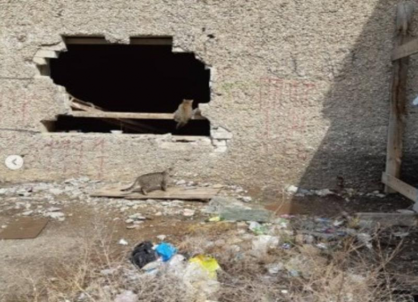Волгоградцы показали на видео, сколько грязи и мусора выгребли из-под стен заброшенного «Юбилейного» 