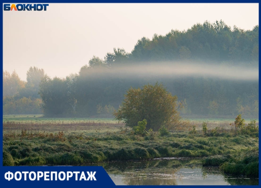 Красоту октябрьского утра в 11 кадрах показал волгоградский фотограф