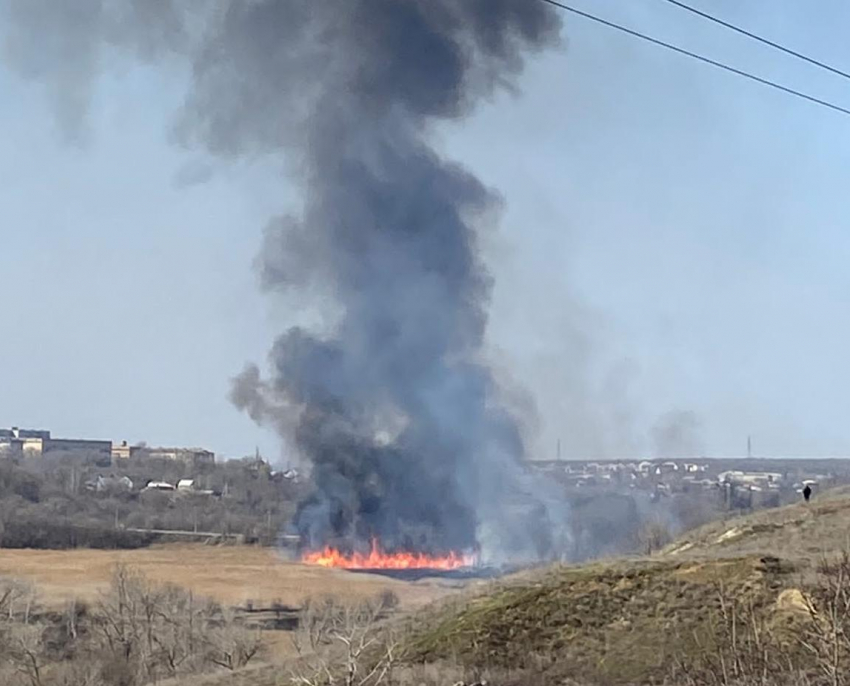 Пойму в Волгограде подожгли несмотря на сотни просьб людей спасти от смерти зайцев и лис