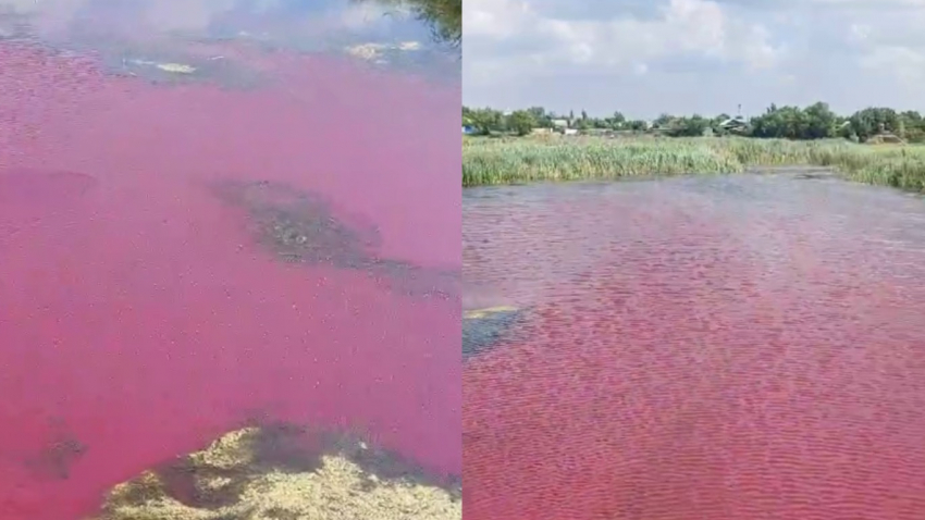 Ярко-розовая река появилась под Волгоградом 