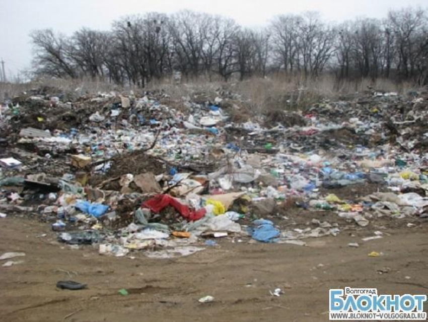 Волгоградская область погрязла в мусоре