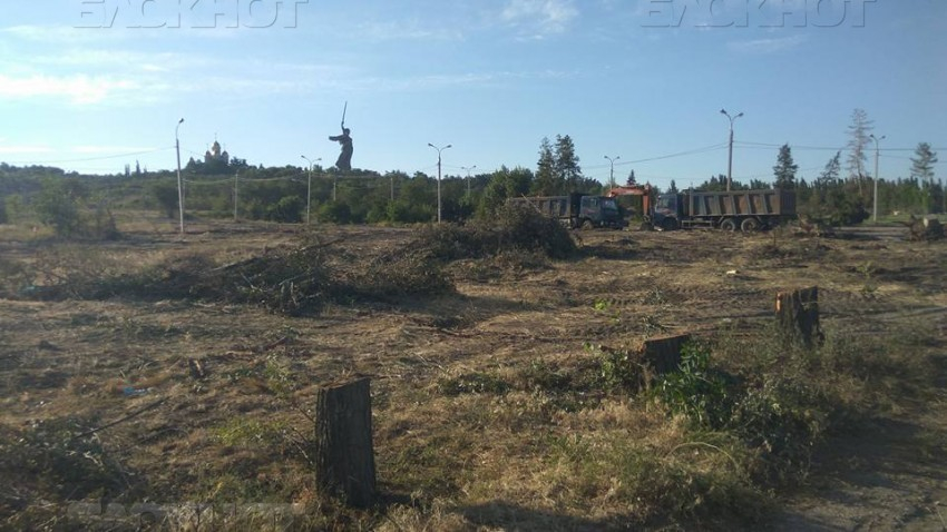 Волгоградские чиновники пытаются оправдать уничтожение парка у Мамаева кургана