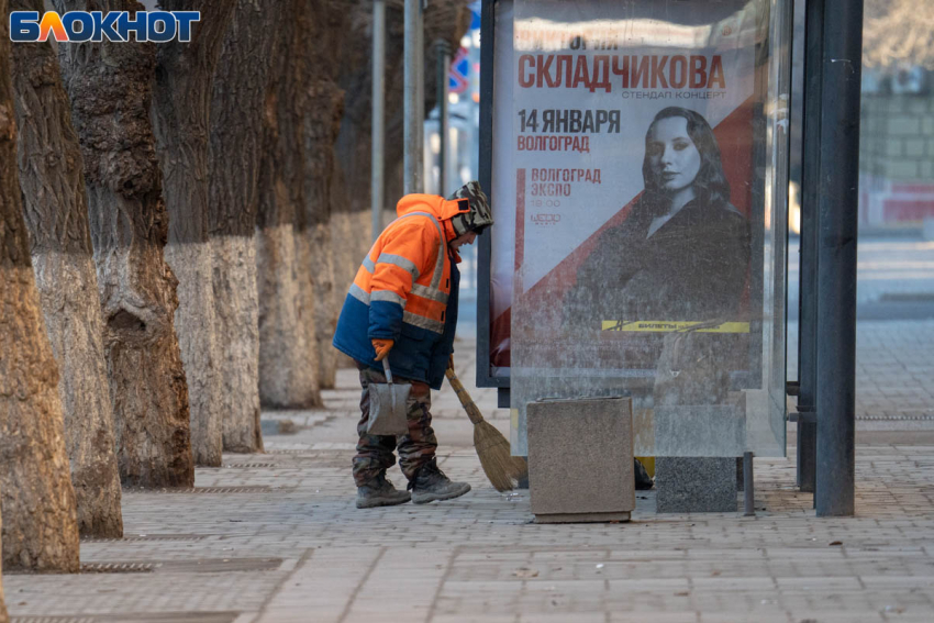 Названы самые дефицитные профессии февраля в Волгограде 