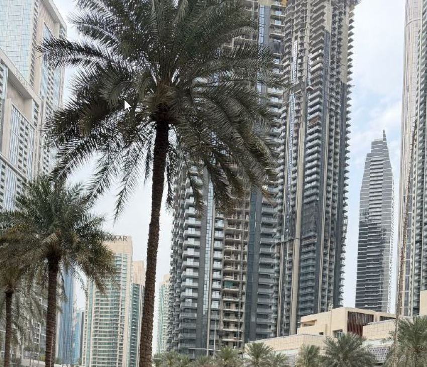 «Они явно что-то знали»: о странностях перед атакой Дубая рассказал волгоградский турист