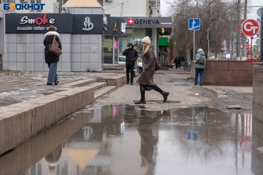 Волгоградцев предупредили о новой схеме мошенников со сканами документов
