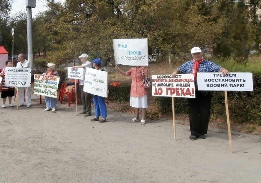 Волна митингов против уничтожения парка на Мамаевом кургане прошла по Волгограду