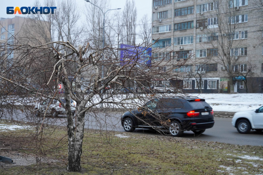Дождливо и тепло до 4 градусов: погода в Волгограде и области на 4 февраля