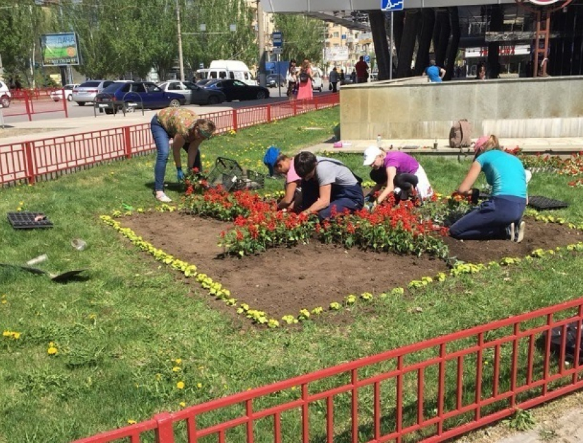 Жара +28 градусов и крепкий ветер ожидают волгоградцев в канун Дня Победы