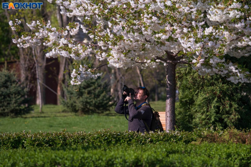 Майским теплом и репетицией магнитных гранд-бурь попрощается март с Волгоградом