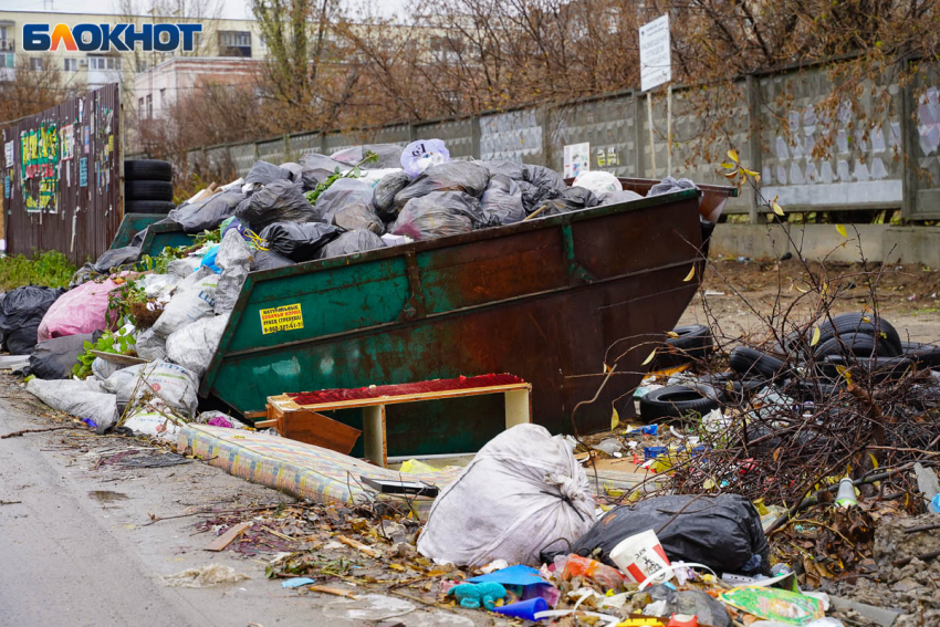 Волгоградцы не заметили чистоты в городе с приходом нового регоператора