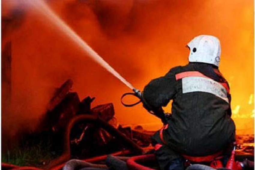 В Волгограде из горящего помещения ветлечебницы спасли десятки животных