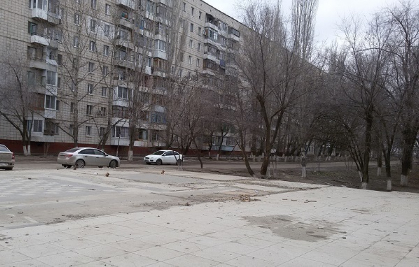 Жители Волгограда «бьются» за  парк