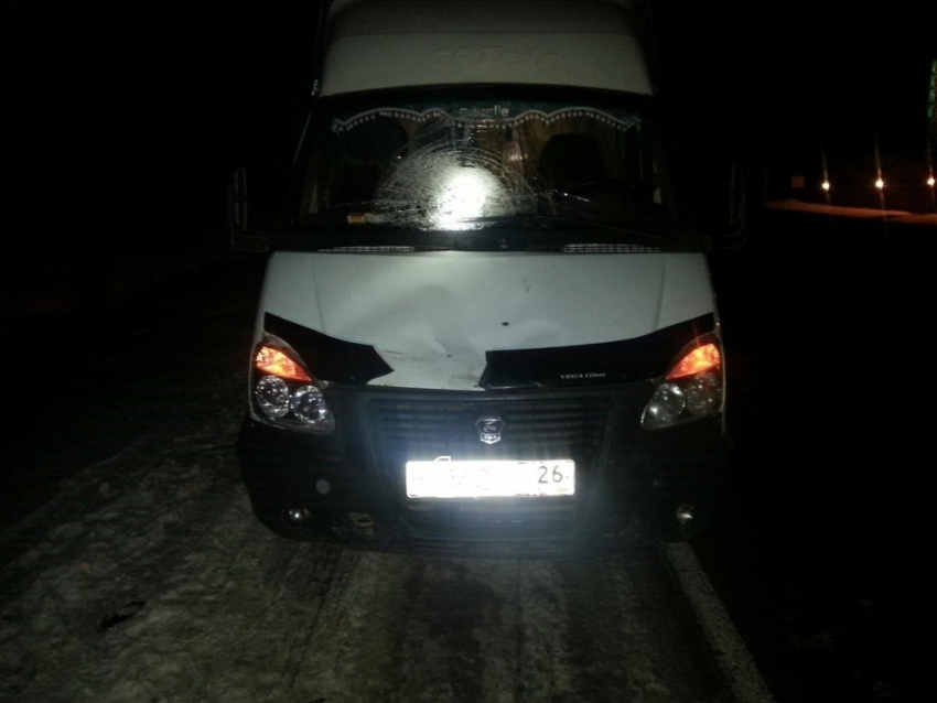 В Волгограде водитель грузовой Газели насмерть сбил 25-летнюю девушку
